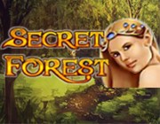 Игровой автомат Secret Forest на рубли играть прямо сейчас